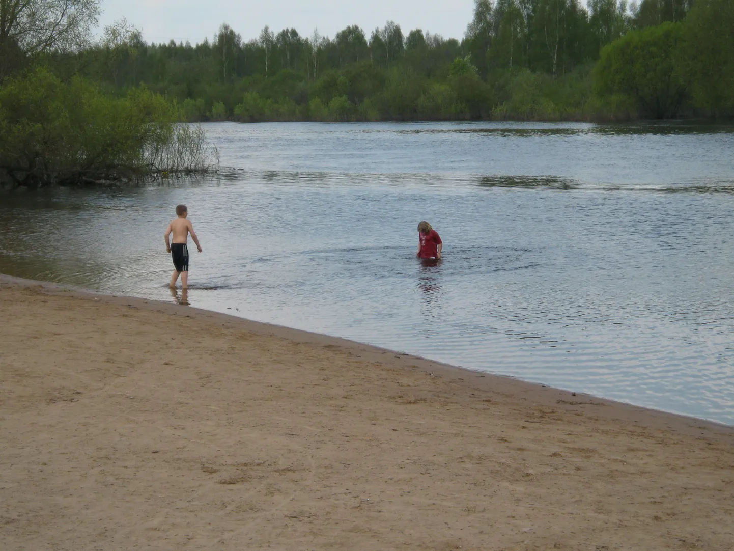 Emajõe vabaujulas käivad uljamad juba suplemas.