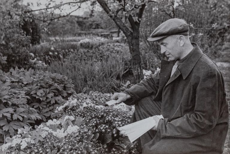 Александр Нийне (1910-1975) занимается растениями.