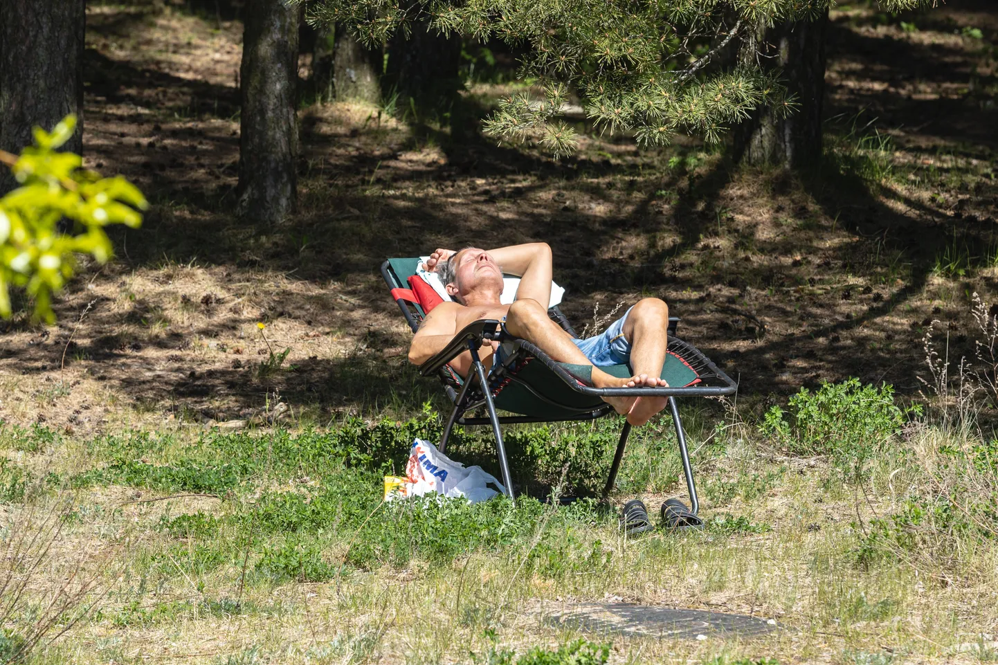 Homme tuleb mõnus augustipäev.