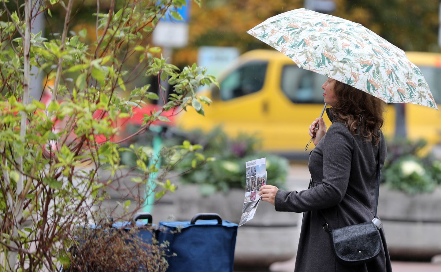 Женщина с зонтом. Иллюстративное фото