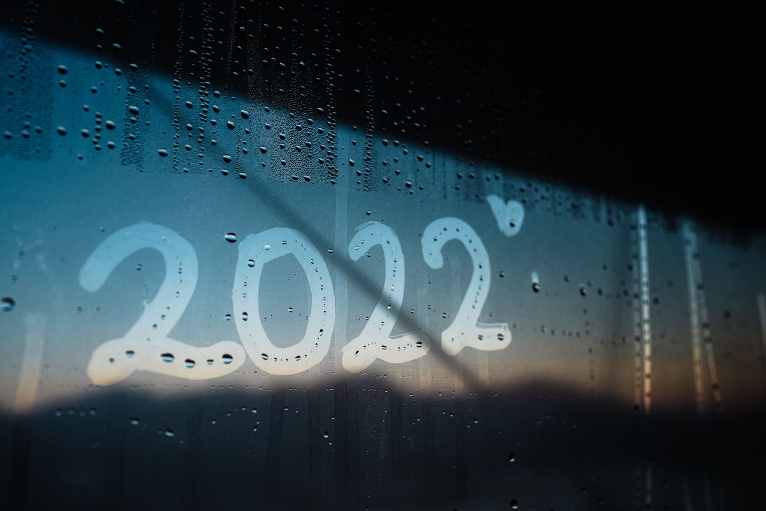 2022 год