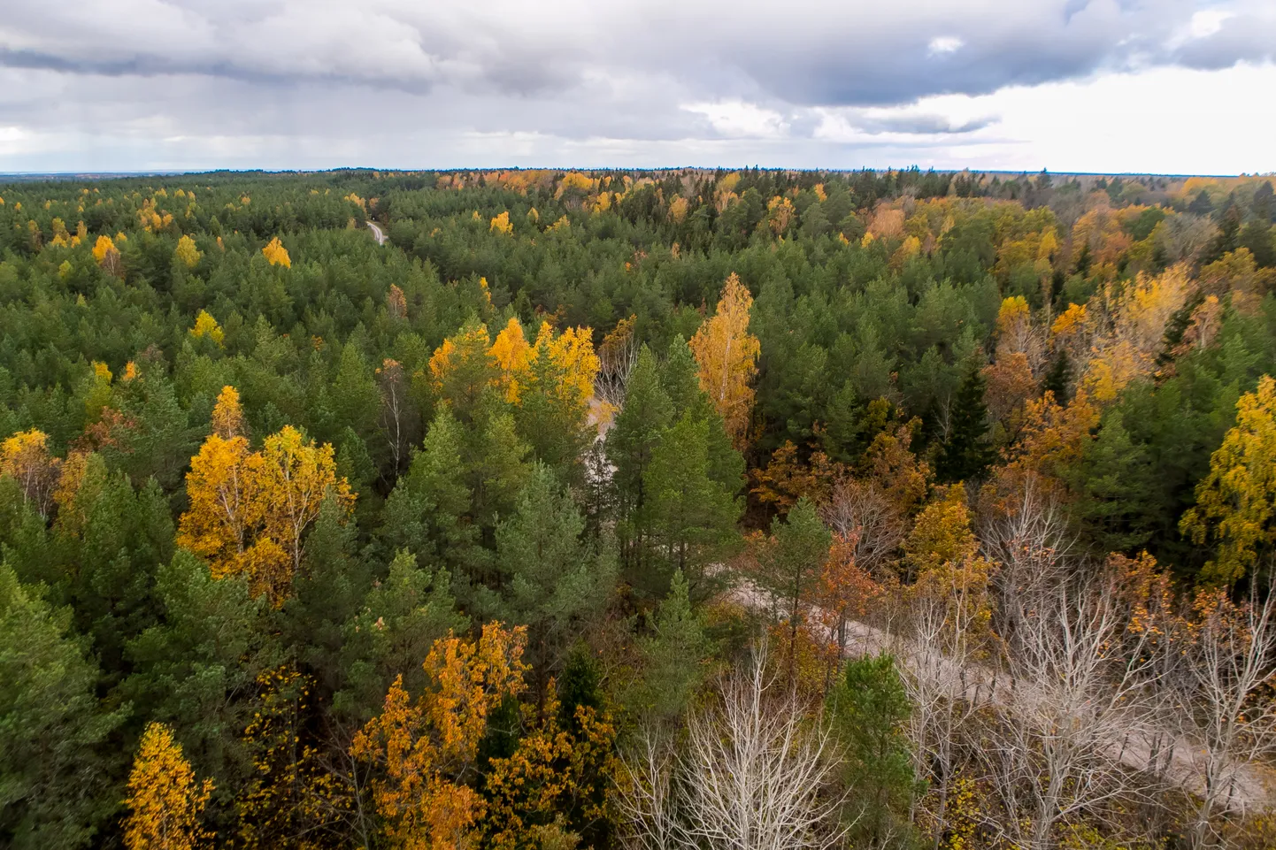 Viidumäe vaatetorn