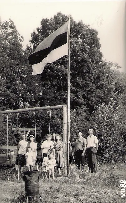 Artikli foto