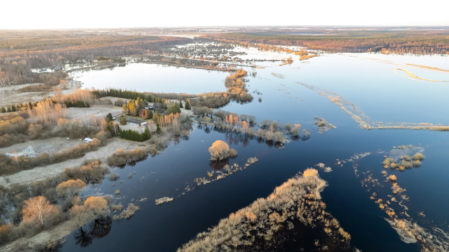 Kevadine suurvesi Kärevere luhal