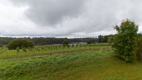 Teeäärse tülivalli pärast on vahetatud kümneid kirju, kuid valla nõudmised on täitmata