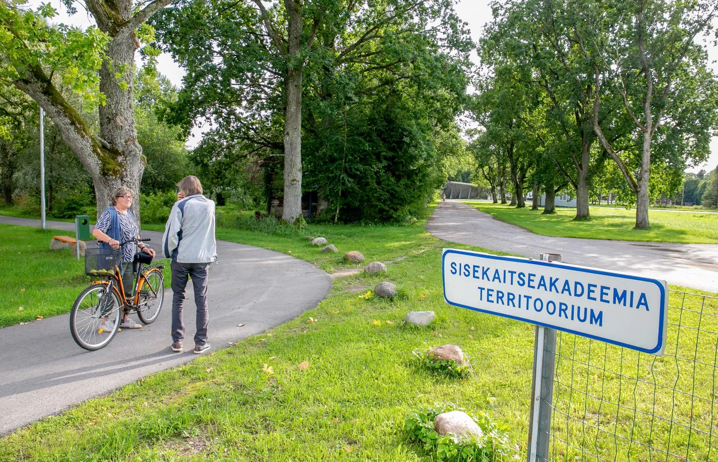 Sisekaitsekatadeemia Paikuse kooli autodroomi laiendamise vastased kaitsevad muu hulgas Sindi mõisa ajaloolist alleed mahasaagimise eest.