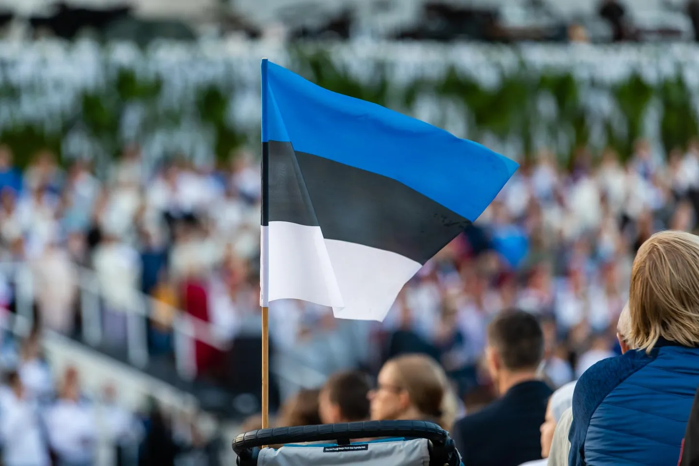 Sinimustvalged lipud lehvisid uhkelt toona ja lehvivad ka nüüd.