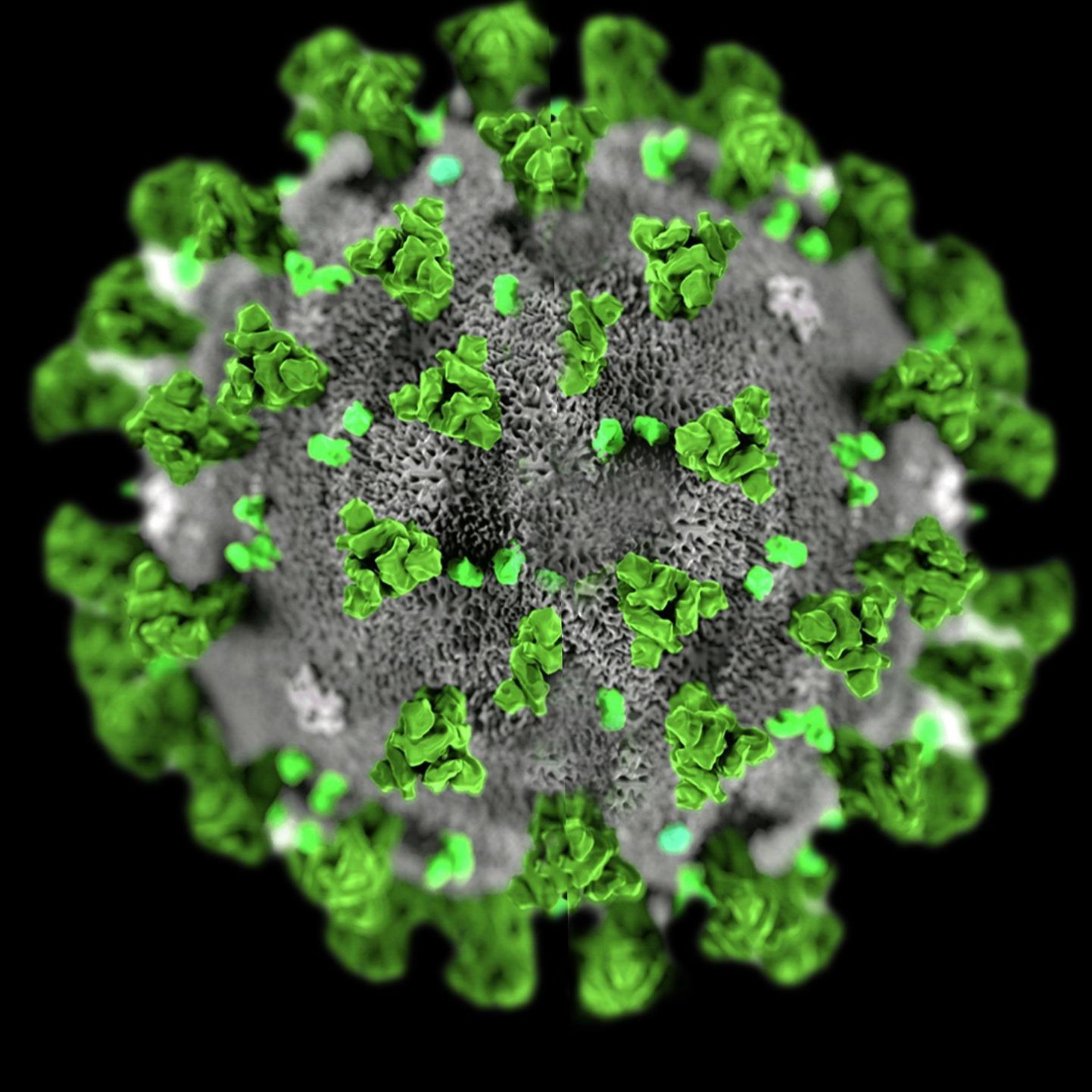Koroonaviirus SARS-CoV-2