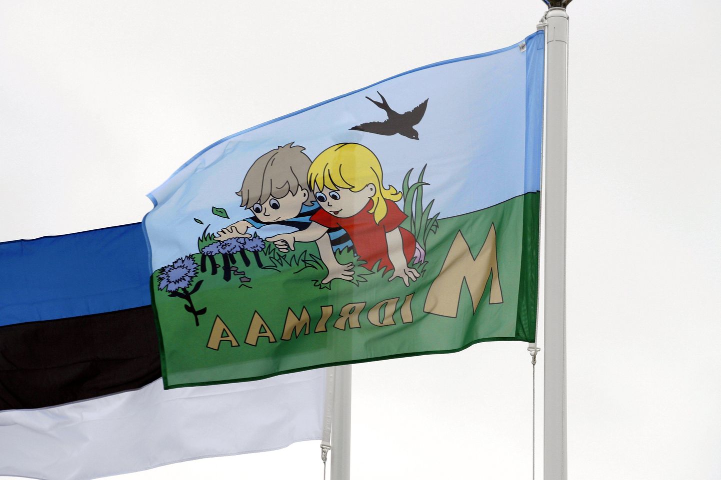 Praegu lehvib Viljandi koolide ja lasteaedade juures lisaks Eesti lipule ka haridusasutuse enda lipp. Peatselt lisandub neile ka Viljandi sinivalge lipp.