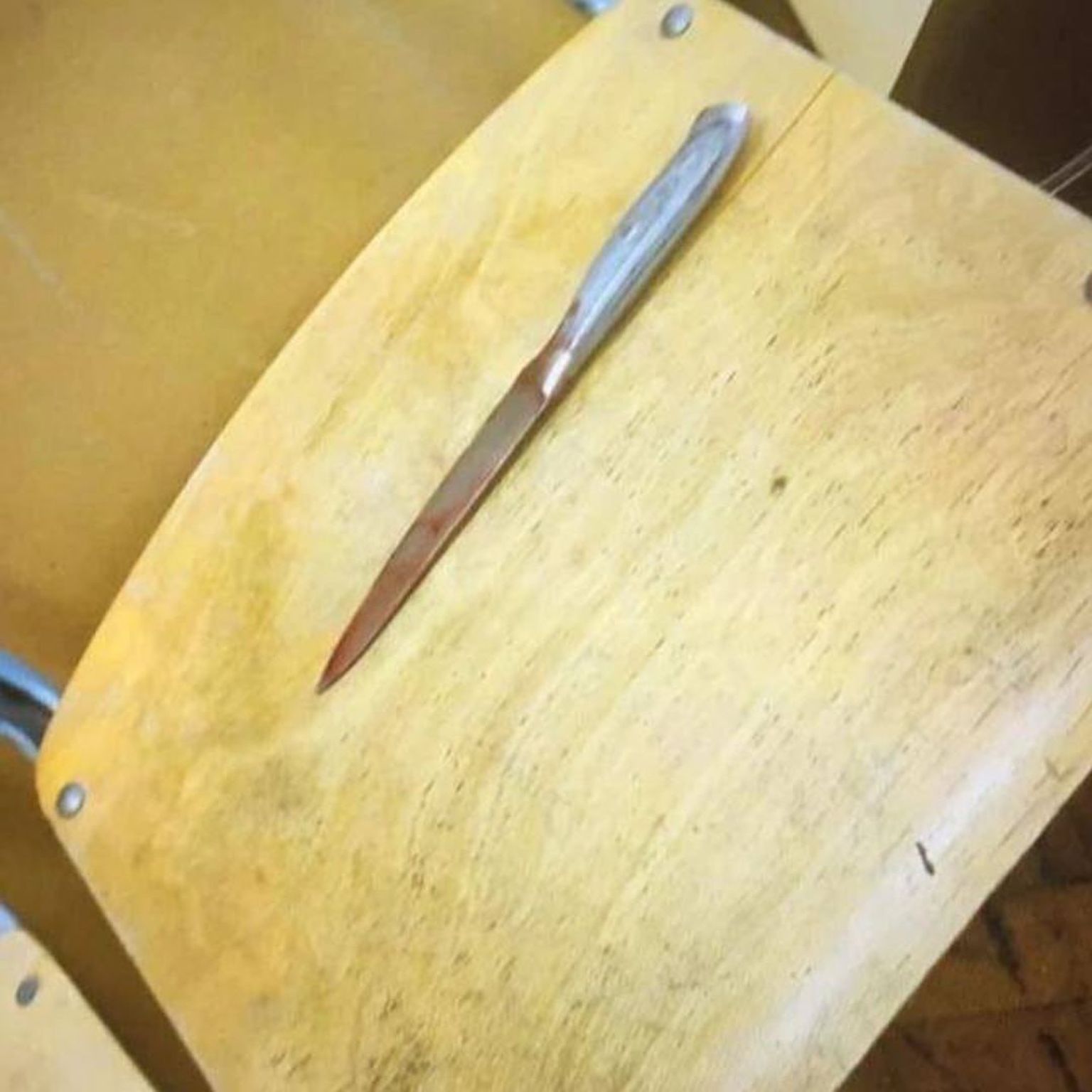 Нож, который ученица пятого класса принесла в школу из дома.