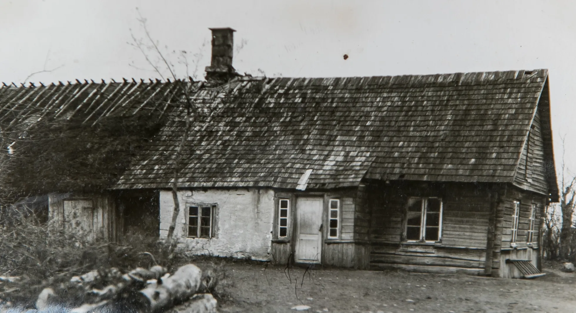 Artikli foto