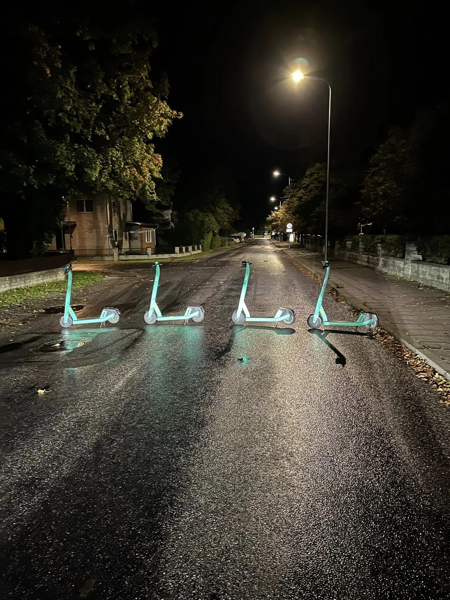 Artikli foto