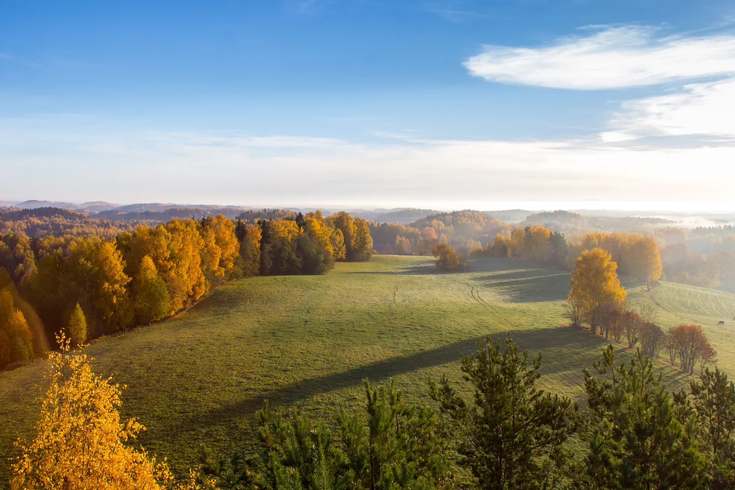 Lõuna-Eesti loodus