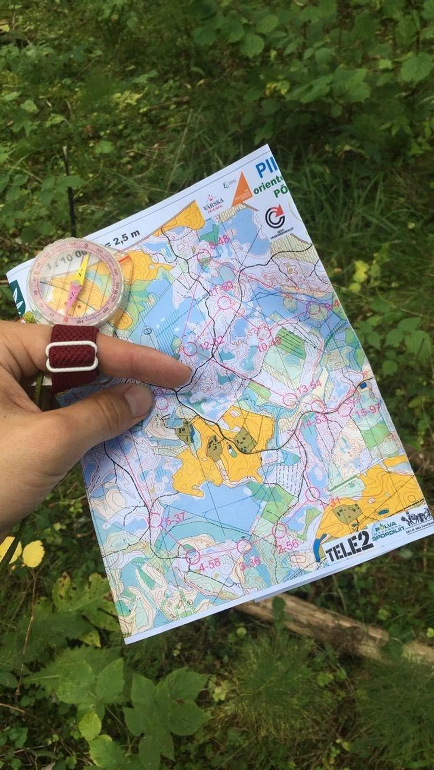 Orienteerumine. Foto on illustratiivne.