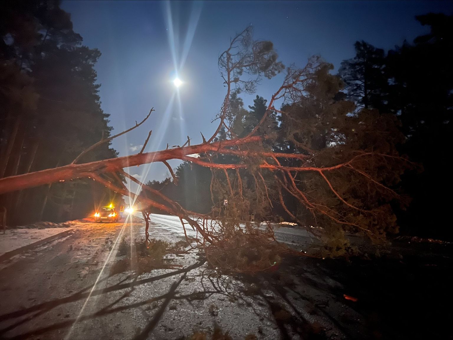 Uz Ventspils šosejas 17. janvāra vakarā sagāzti koki