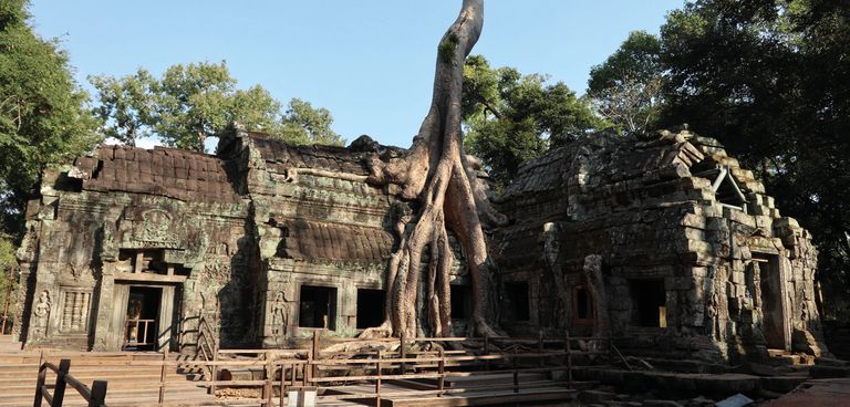 12. sajandi lõpul ehitatud Ta Prohmi tempel-kloostri (algse nimega Rajavihara – kuninglik klooster) ehitised on osaliselt ikka džungli võimuses. Õieti on puud jäetud teadlikult kasvama, et näidata, kuidas nägid templid välja 19. sajandil, kui need uuesti avastati. See oli viga, sest taimestik kahjustab ehitisi.
