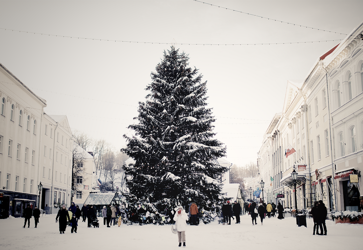 Тартуская рождественская елка.