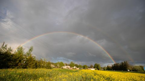 Tulekul võib olla selle aasta kõige suvisem periood