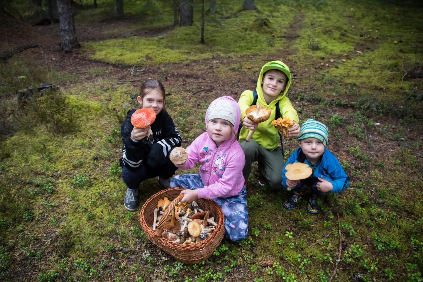 Pärnu Postimees kutsub üles korilusest pilte saatma.