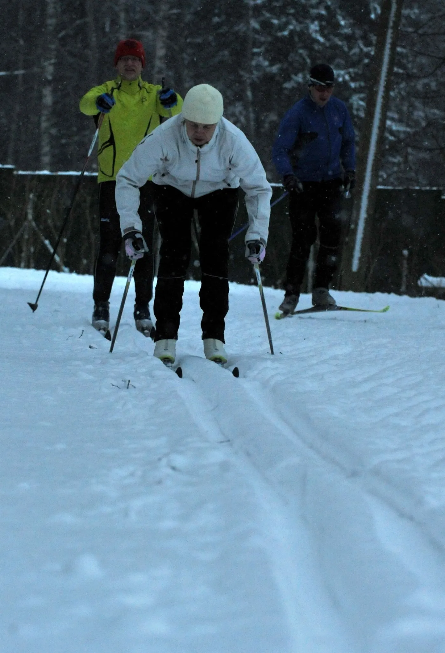 Suusatajad Nõmmel