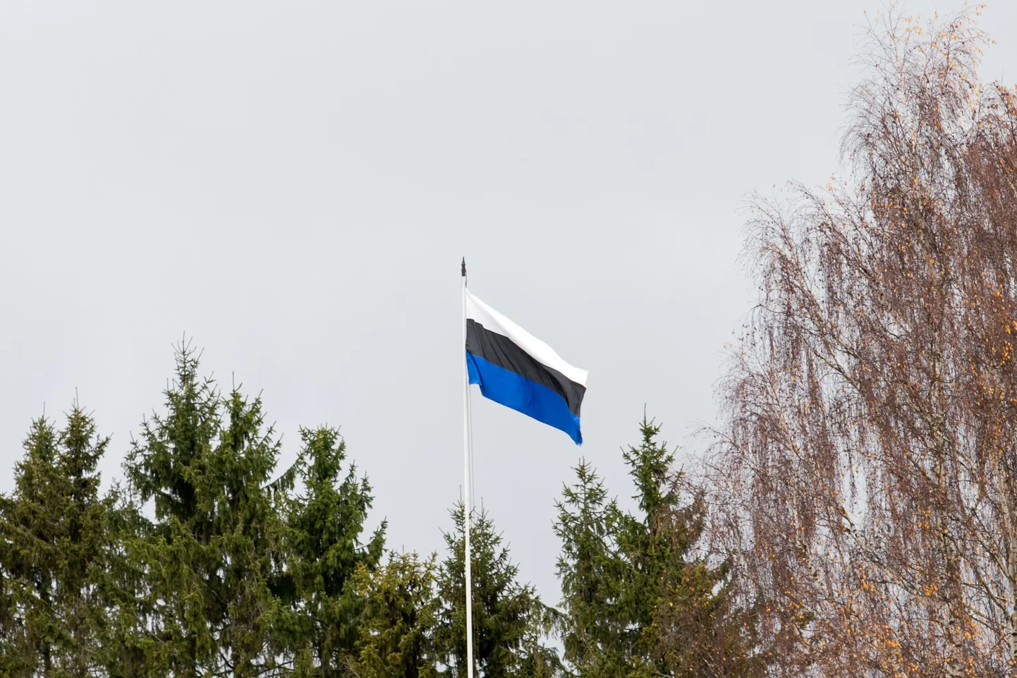 Pühapäeval heisatakse sinimustvalge trikoloor.