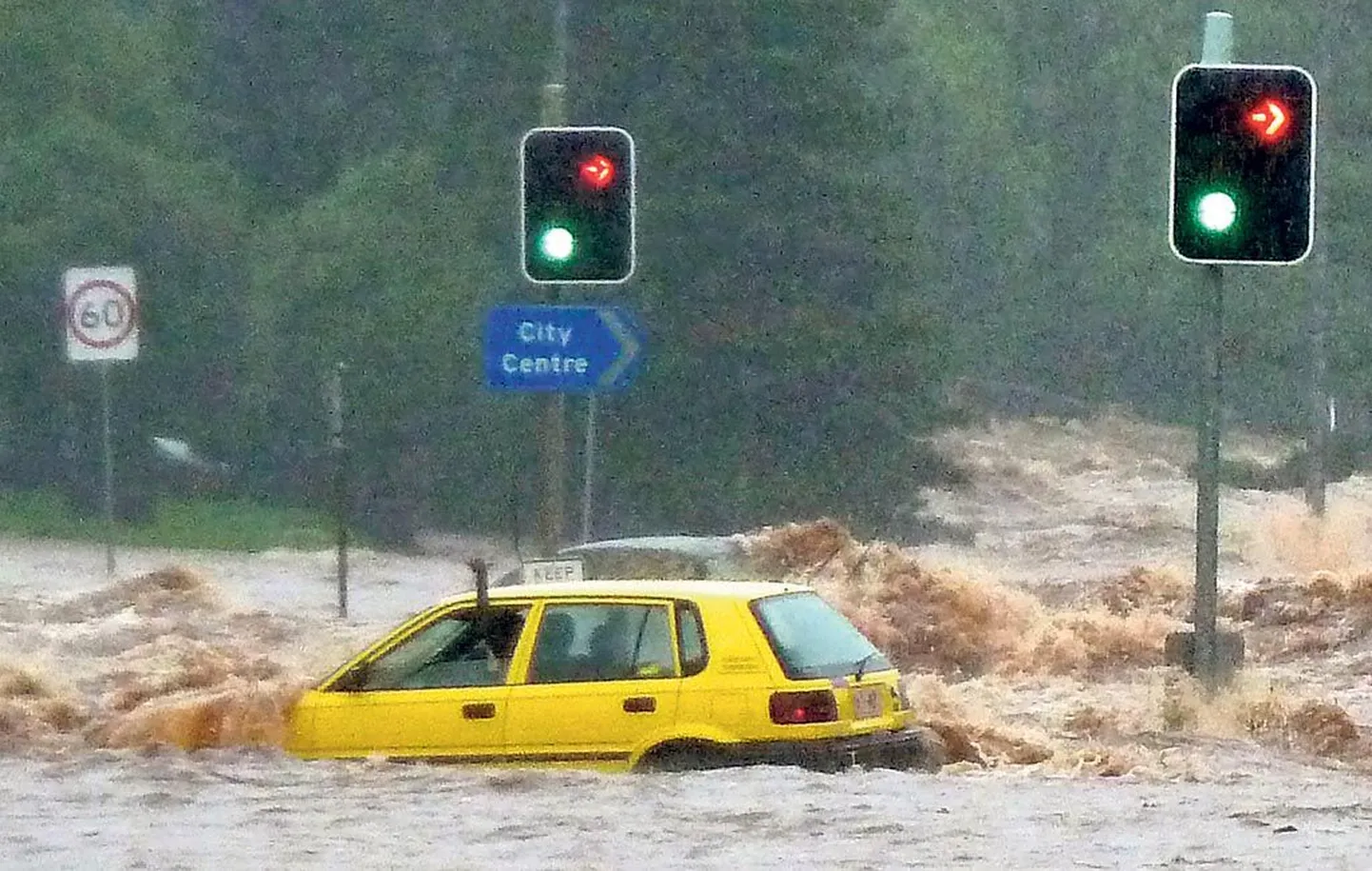Artikli foto