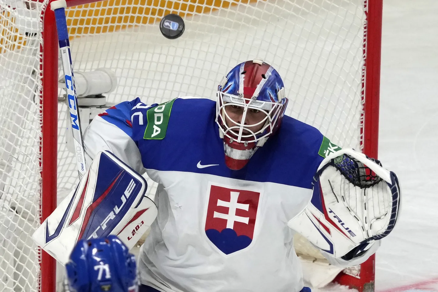 Slovakkia koondise väravavaht Adam Húska.