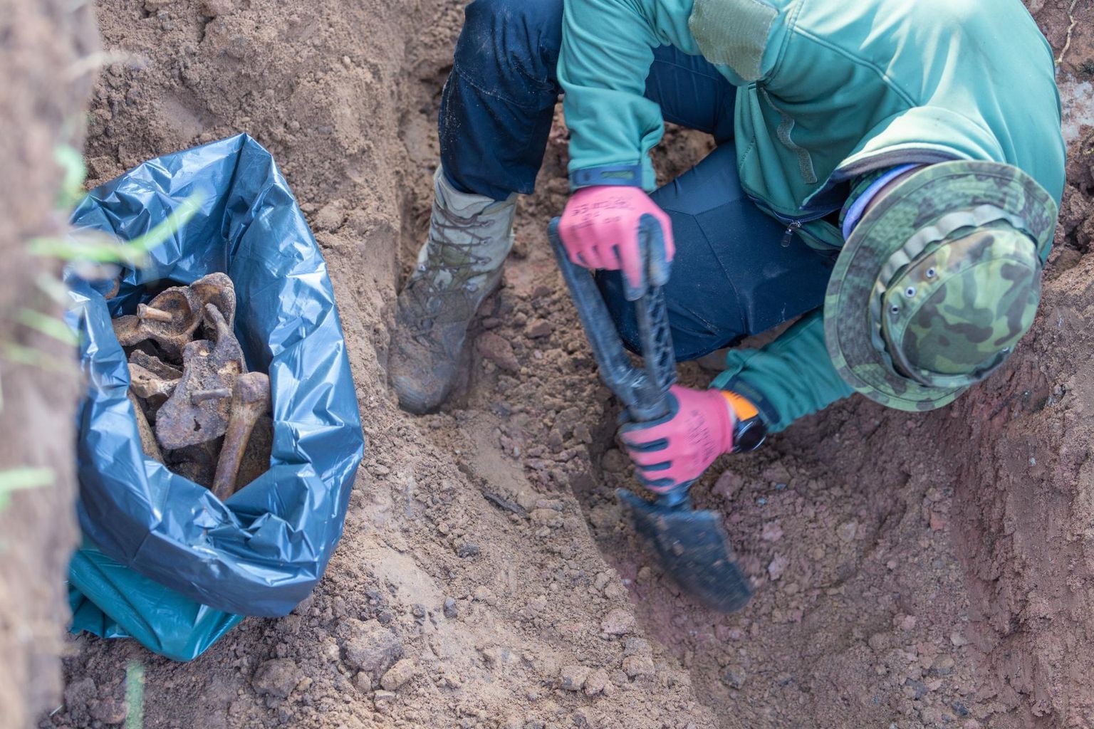 Viiratsi ühishauast kaevati välja üle 200 sinna maetud inimese säilmed.