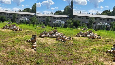 Estonian housing dispute: Cooperative claims agreement on felled trees, resident objects