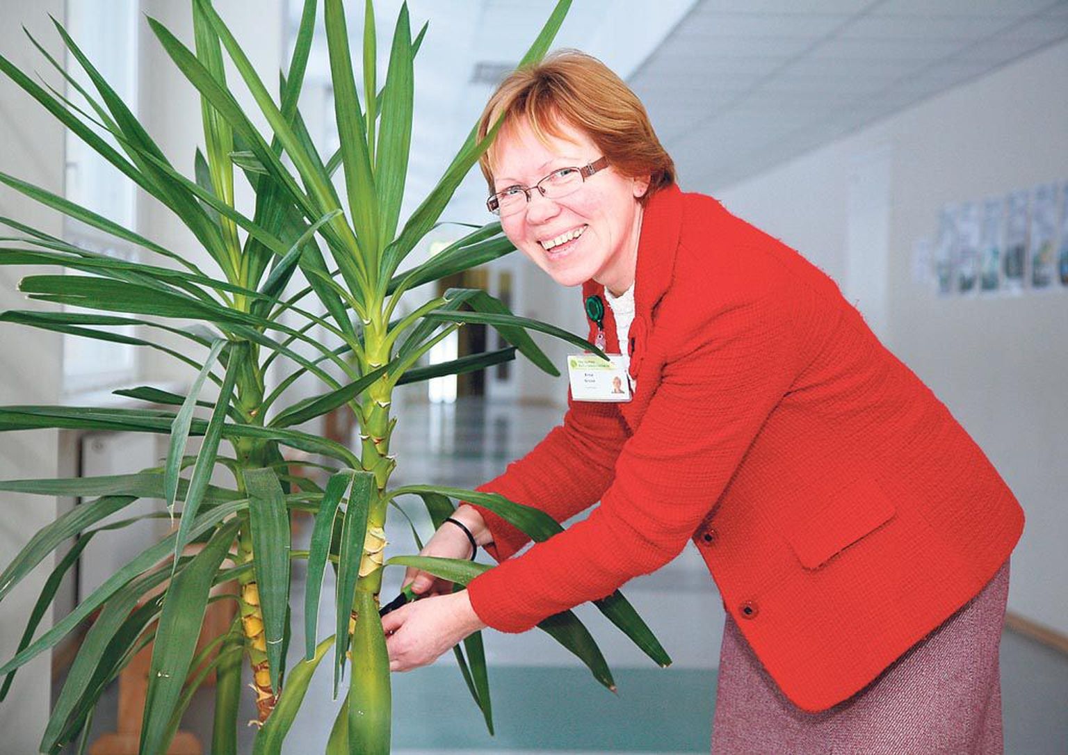 Parim maamajanduse eriala õpetaja Erna Gross annab Pärnumaa kutsehariduskeskuse Voltveti koolituskohas aianduse tunde ja sätib pikas koridoris tääkliiliat, et see oma lopsaka rohelusega mööduja silma rõõmustaks.