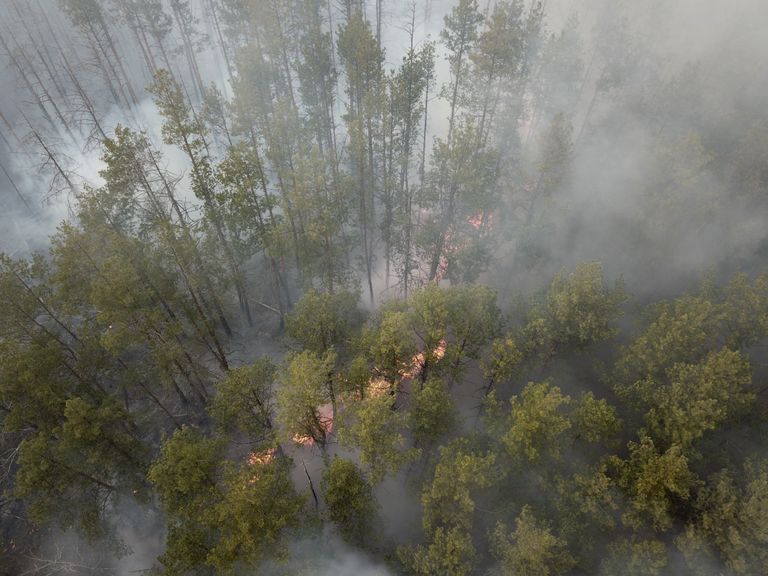 Metsapõleng Ukraina Tšornobõli tuumajaama keelutsioonis