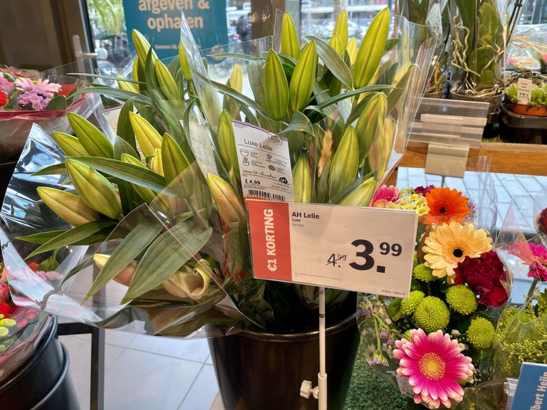 Lillede hinnad Rotterdamis