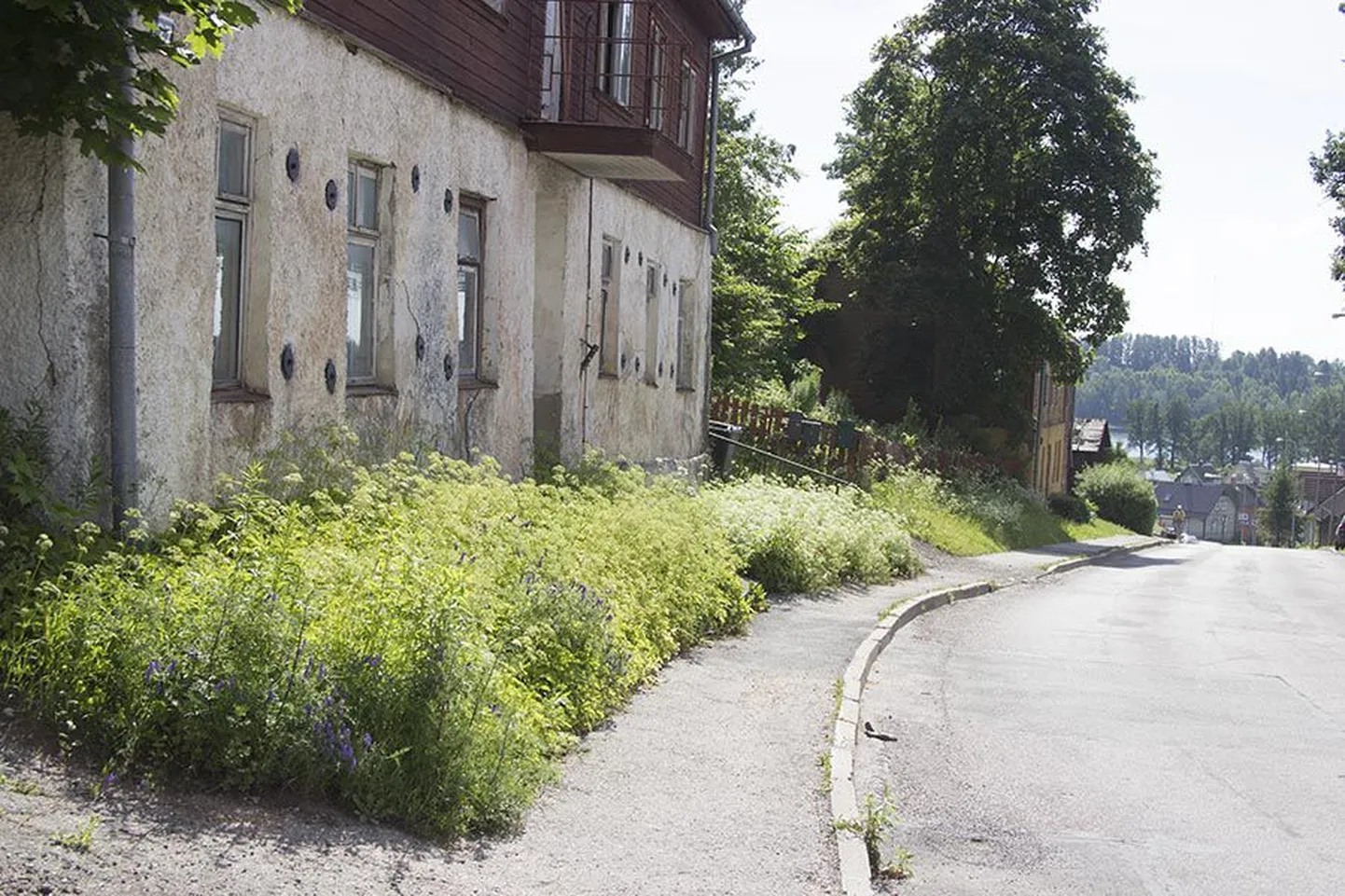 Üks kinnistu, mille niitmata muru kohta linn märkuse tegi, on Tartu tänav 27.
