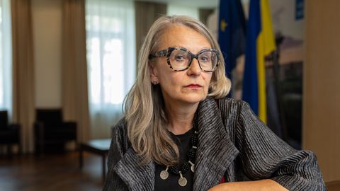 Estonia's Ambassador to Kyiv: We Should Learn from Ukrainians' Calmer Approach to War