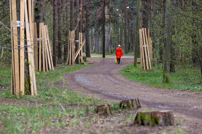 Terviseraja laiendamiseks võeti juba puid maha. See tekitas nõmmekates ja mustamäelastes tuska.