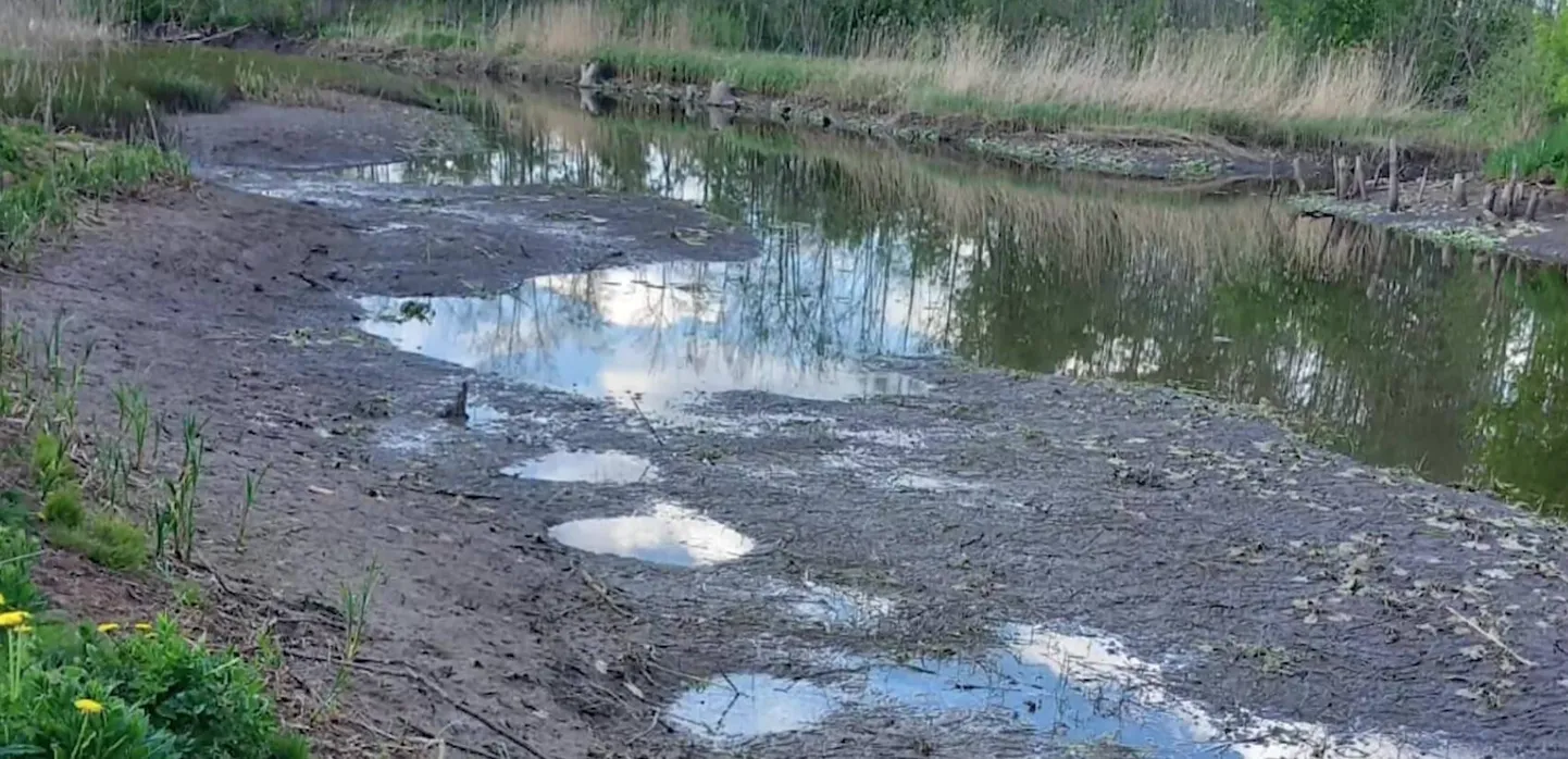 Raksta foto