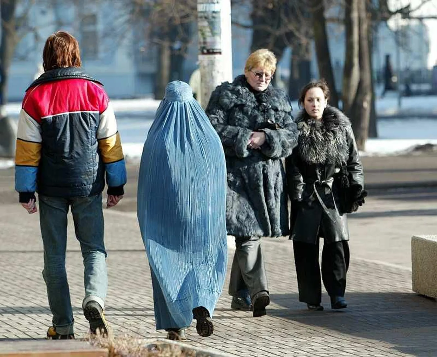 Artikli foto