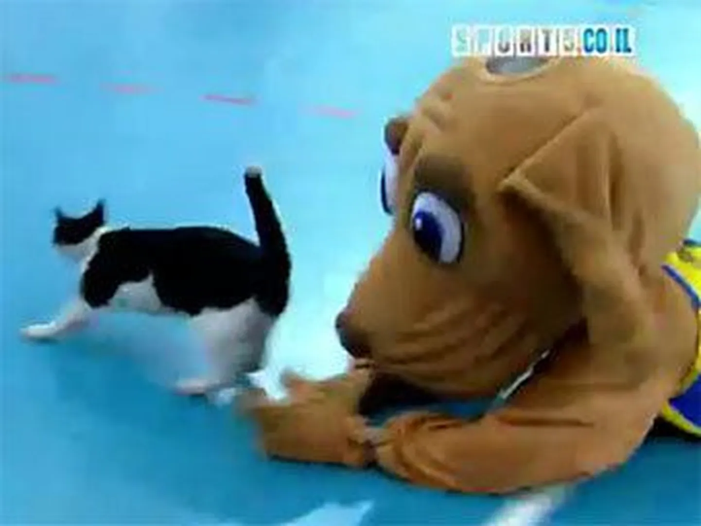 Скриншот видео