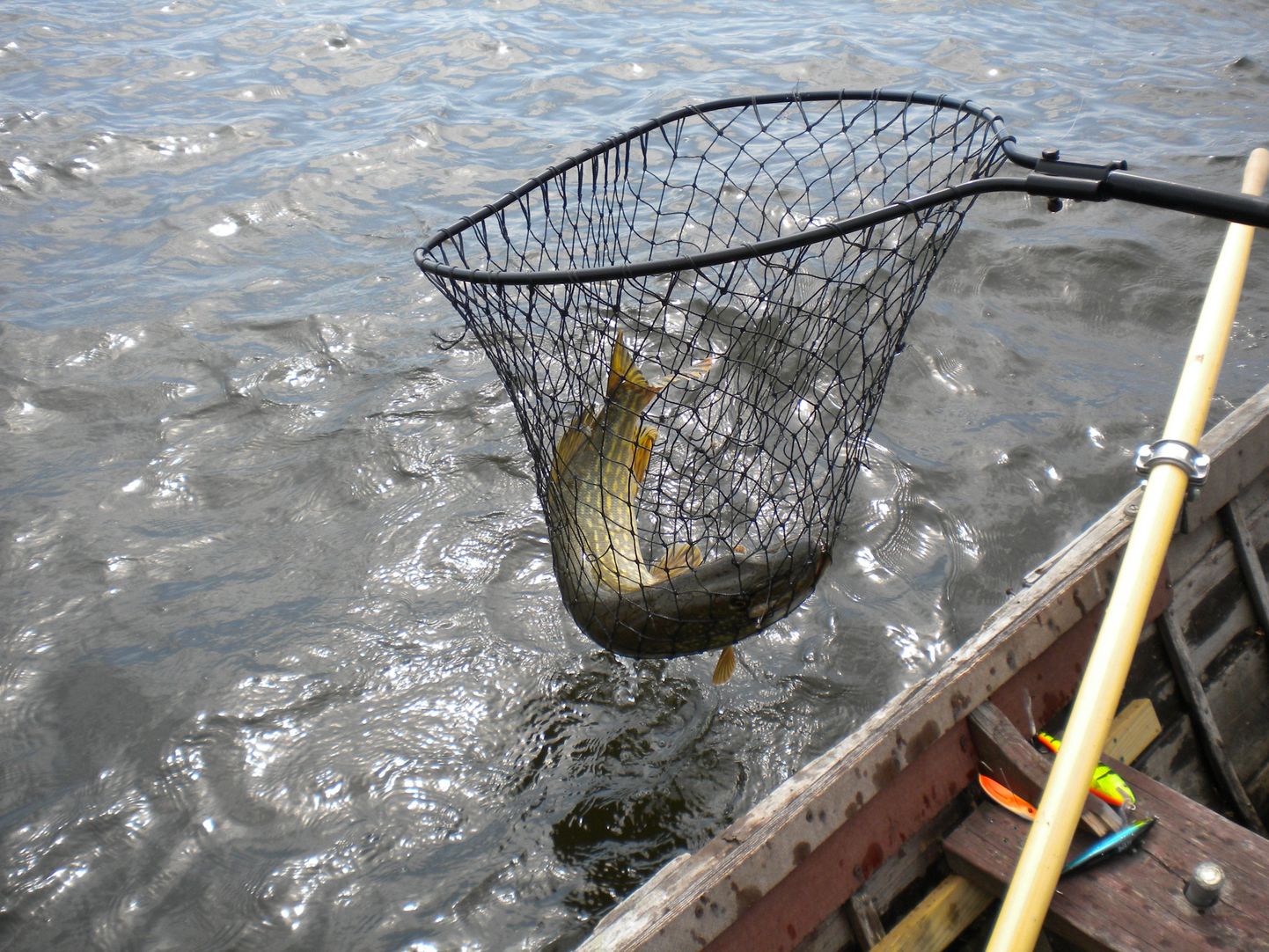 Pühapäeval peetakse Viljandi järvel spinninguga kalapüügivõistlust.