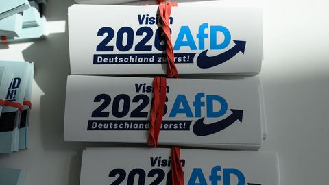 Aptauja: Atbalsts prokremliskajai AfD partijai sasniedzis 28%