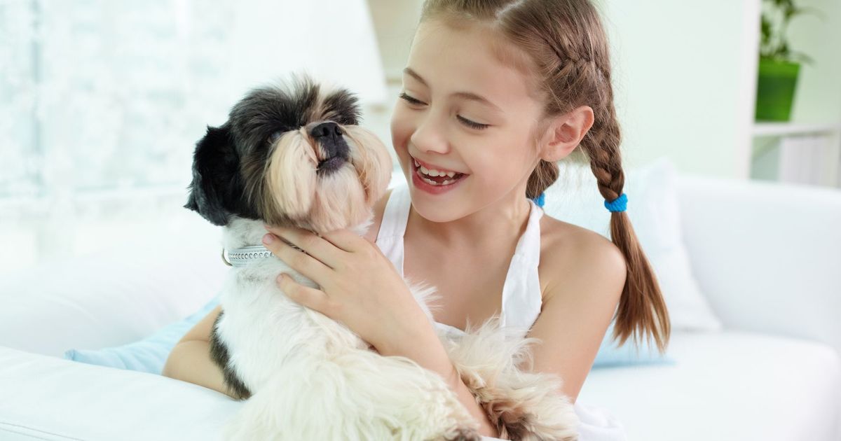 undefinedДля детей одежда родителей – это нечто волшебное и недоступное. Им интересно увидеть себя в зеркале в одежде, которую носит мама или папа. Все эти кнопочки, молнии, шнурки – все это притягивает их внимание и помогает развивать мелкую моторику и координацию движений.</em>«></p>
<p>Кроме того, в одежде родителей дети видят красивую и стильную вещь. Они хотят быть похожими на своих родителей и носить такую же классную одежду. Они понимают, что одежда родителей – это не просто материальный предмет, а проявление индивидуальности, стиля и потенциала.</p>
<h2>Видео:</h2>
<h3>Второе пророчество Булгакова</h3>
<p>Второе пророчество Булгакова de Videos of Vladimir Svechnikov 9256 visualizaciones hace 9 horas 2 minutos y 40 segundos</p>
<div style=