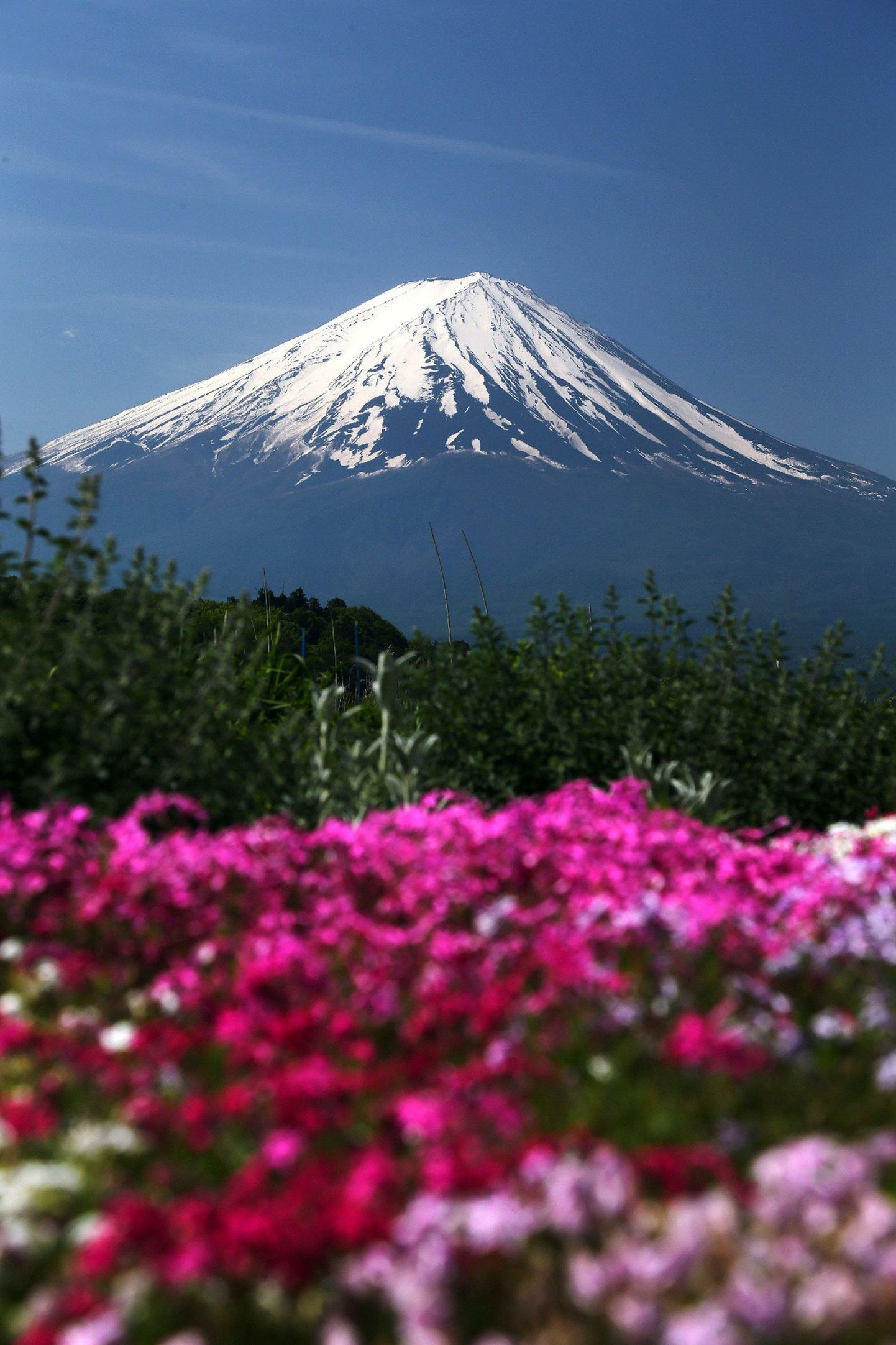 Kuulus Fuji vulkaan.