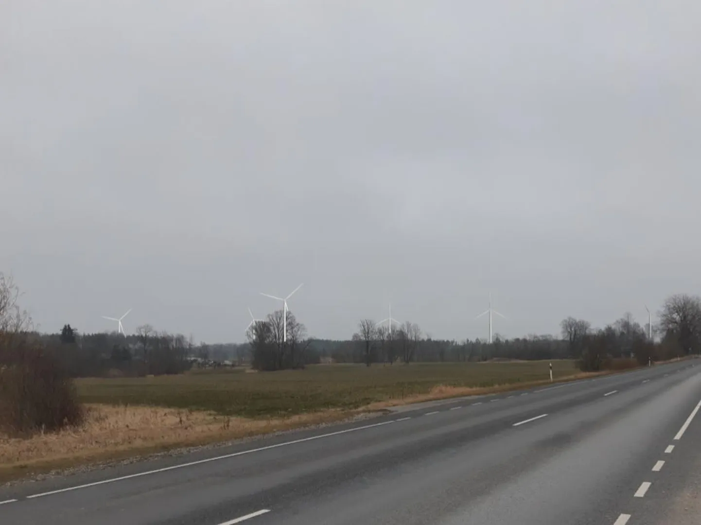Vaade AS Enefit Greeni kavandatavale tuulepargile Valga–Uulu maanteelt Kilingi-Nõmme suunas.