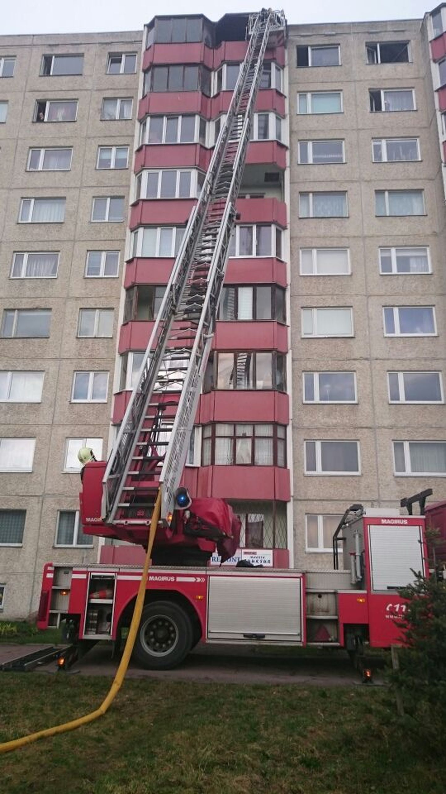 Пожар на Линнамяэ теэ в Таллинне.