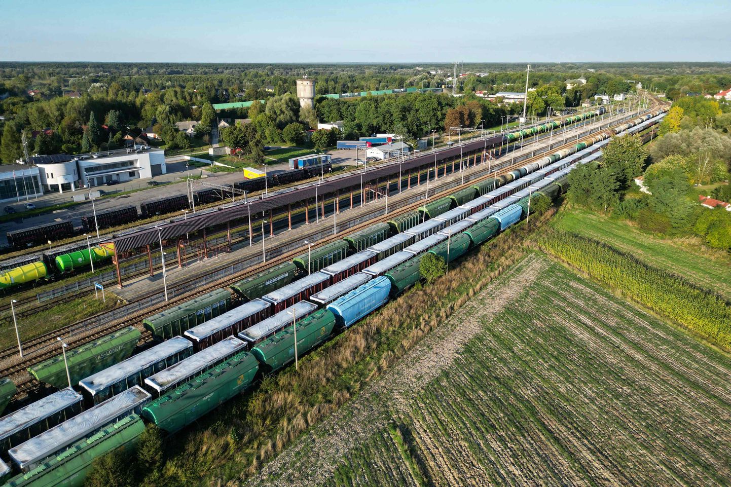 Viljarong Ukraina ja Poola piiri lähedal.