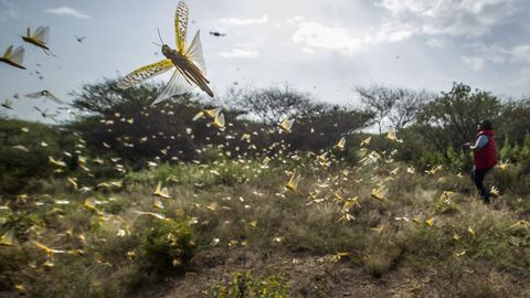Rändtirtsud alustasid massilist pealetungi Ukrainale