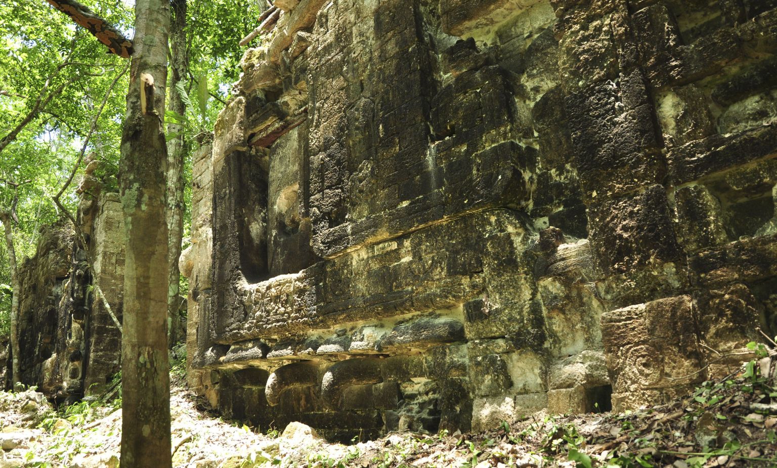2014. aastal leitud maiade linna jäänused Mehhiko džunglis