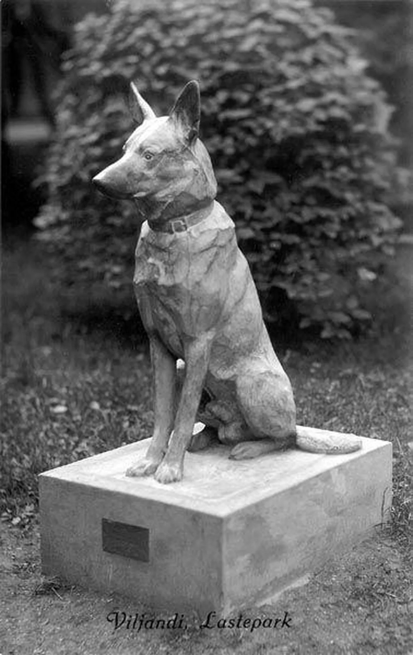 Hilda Orgusaare 1932. aastal valminud koerakuju.