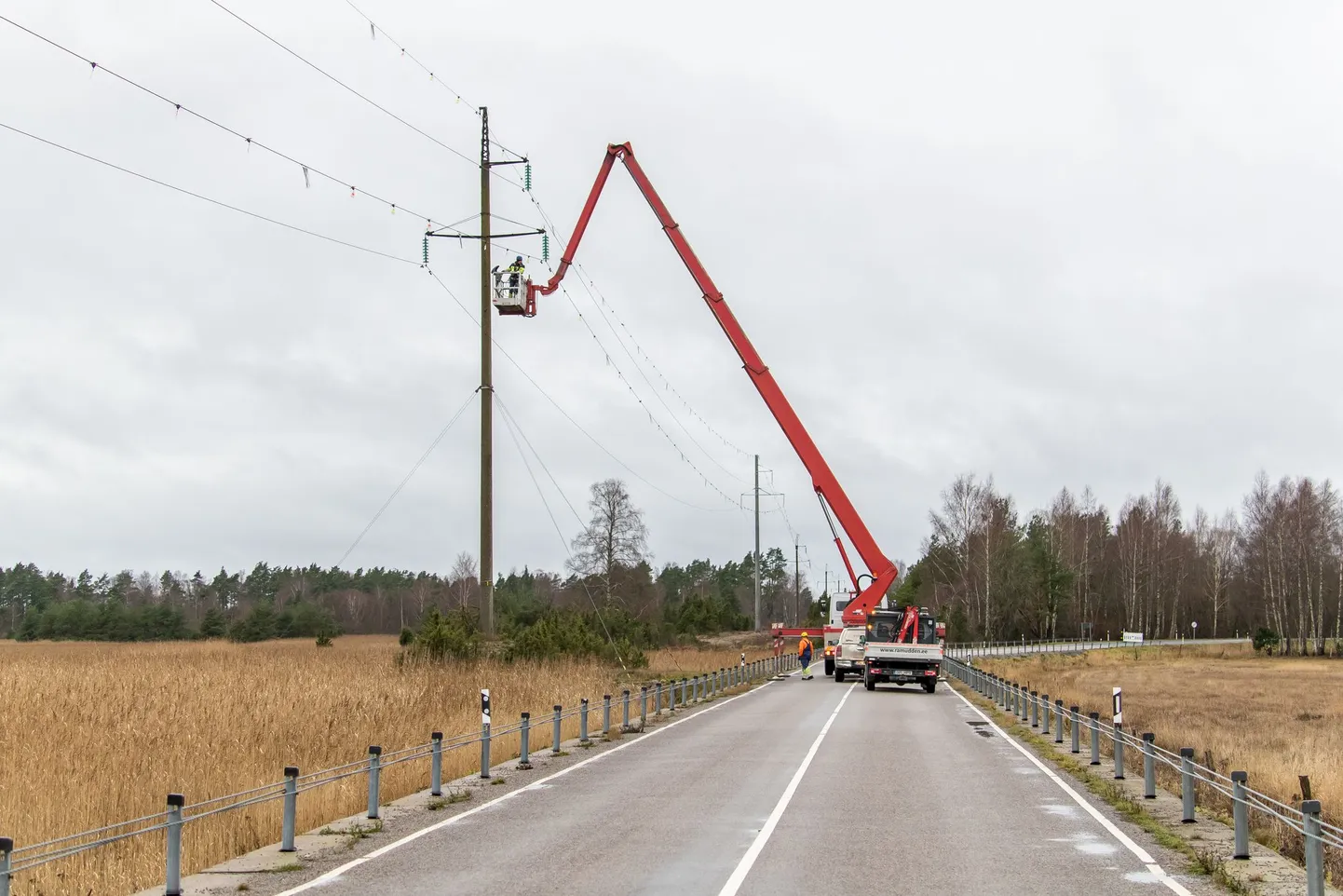 Elektritööd Väikese väina tammil. Foto on illustreeriv