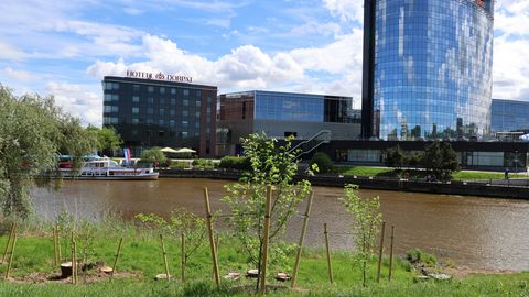 Iga linna istutatud uue puu keskmine hind küünib 800 euroni